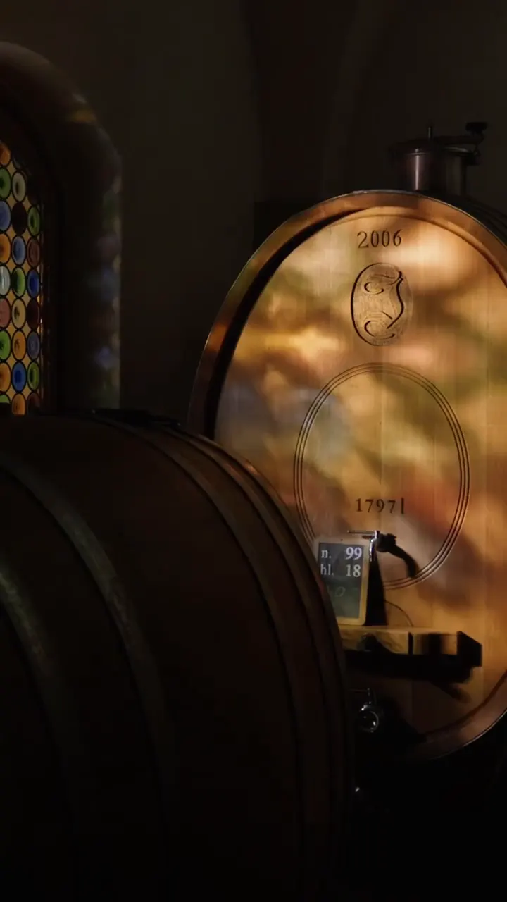 La cantina di Jermann a Ruttars, fra le botti grandi